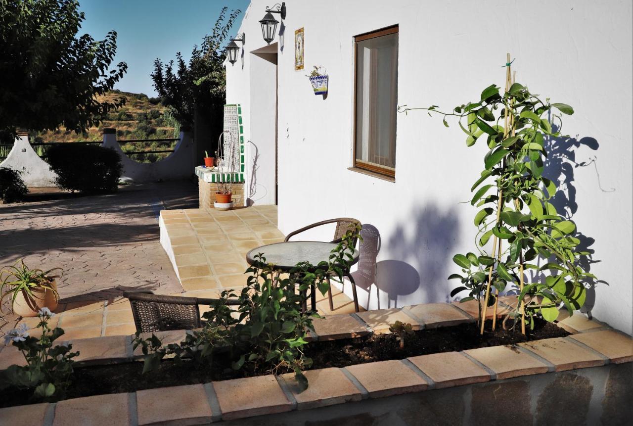 Finca La Meica Bed&Breakfast Casabermeja Exterior photo